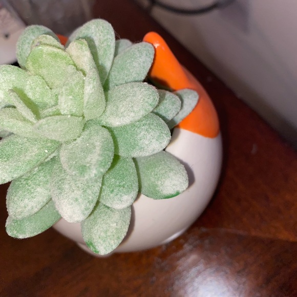 Faux/Fake Fox Succulent Home Decor - Picture 5 of 7